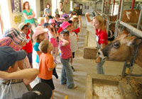 安大略省分光展示-启德教育