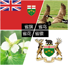 省花、省徽、省旗、省鸟